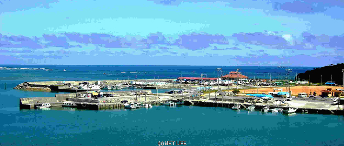 もずくそばの店くんなとぅ