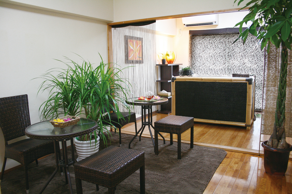 PANA CEA パナケア