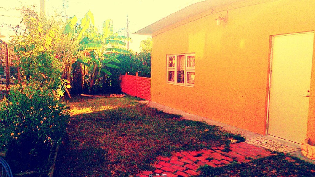 Takeout Cafe Haleaina