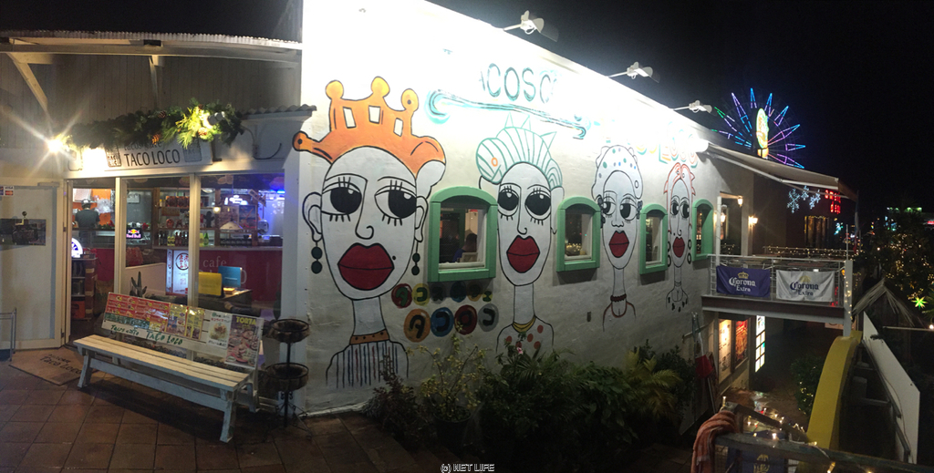 タコスカフェ タコロコ