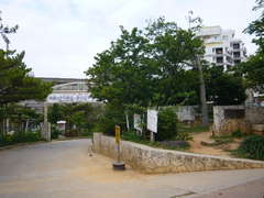 仲西小学校