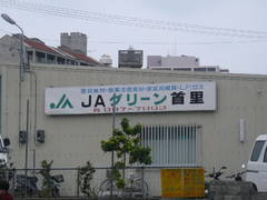 JAグリーン首里